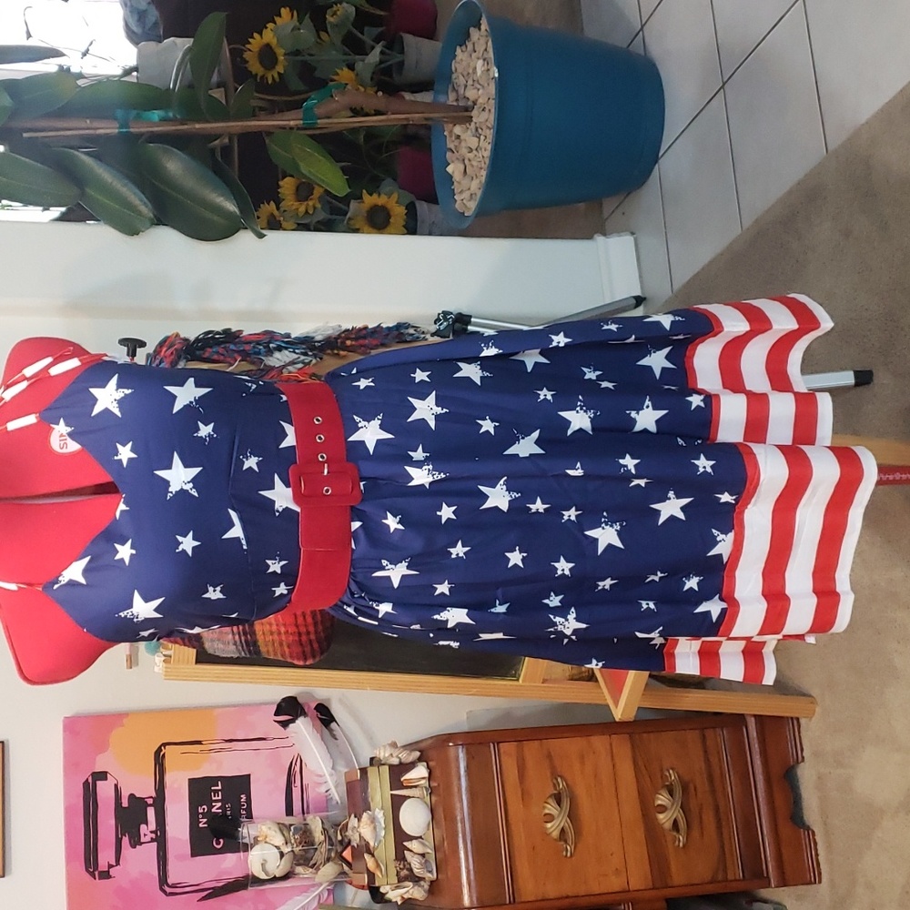 NWOT stars and stripes dress